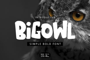Big Owl: A Bold Display Font That Brings Personality to Branding