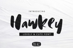 Hawkey Font: A Playful Display Typeface for Business Branding