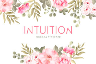 Intuition: The Display Font That Brings Warmth and Personality to Branding