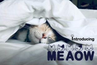 Meaow: The Playful Display Font That Elevates Handmade and Craft Projects